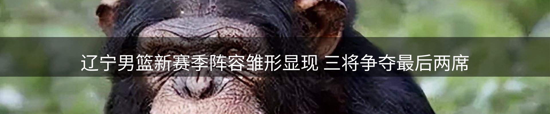 今日资讯